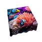 Underwater Gossip