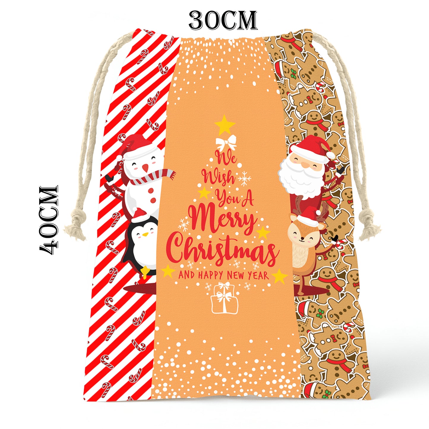 We Wish You Gift Bag (Set of 2)