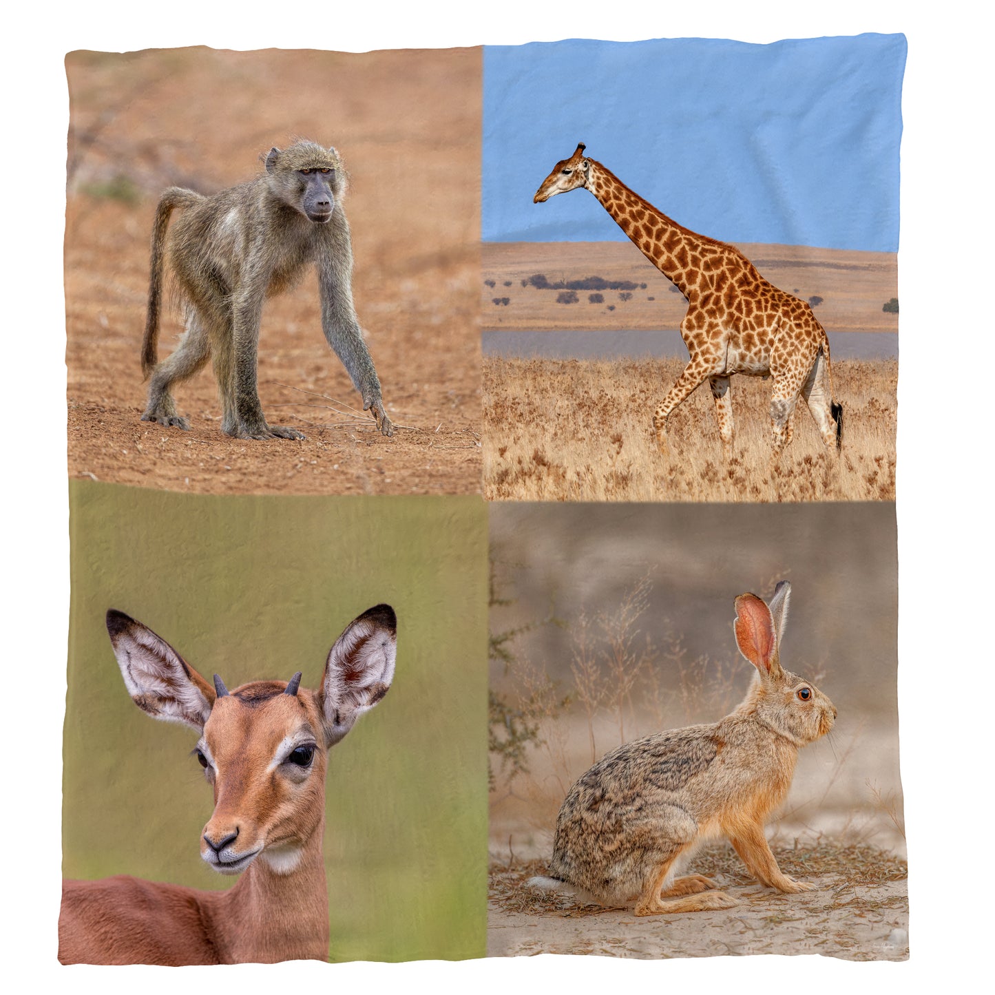 Wild Animals Light Weight Fleece Blanket by Fanie Heymans
