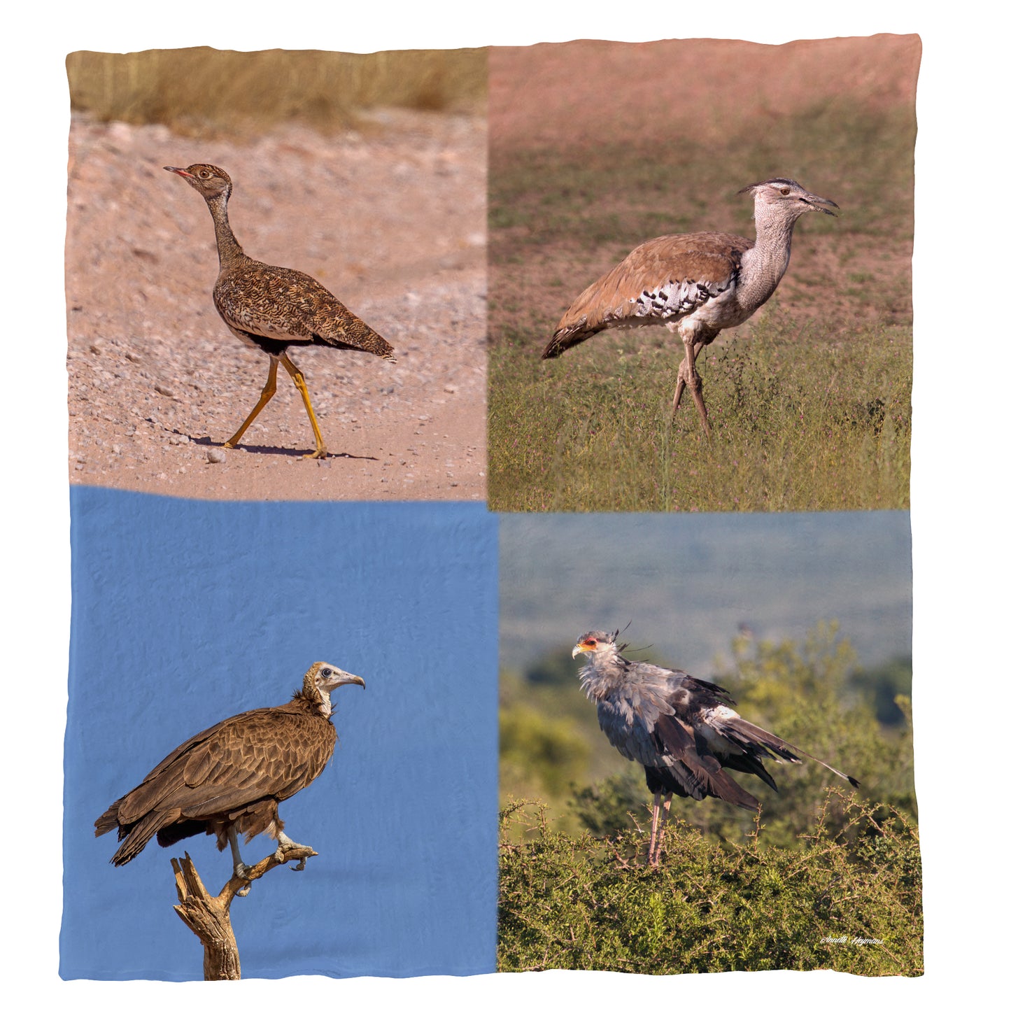 Wild Birds Light Weight Fleece Blanket by Annette Heymans