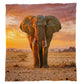 Wildlife African Elephant Light Weight Fleece Blanket