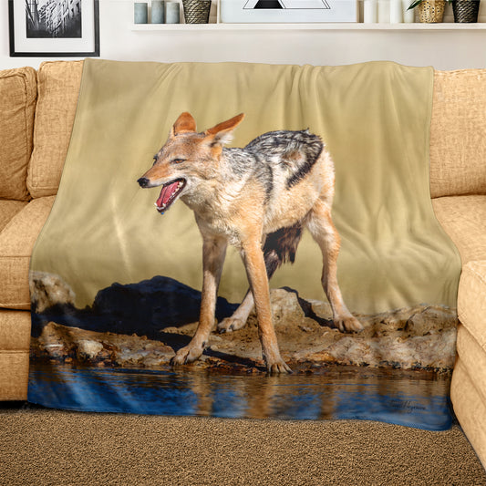 Wildlife Blacked Backed Jackal At Waterhole Light Weight Fleece Blanket by Fanie Heymans
