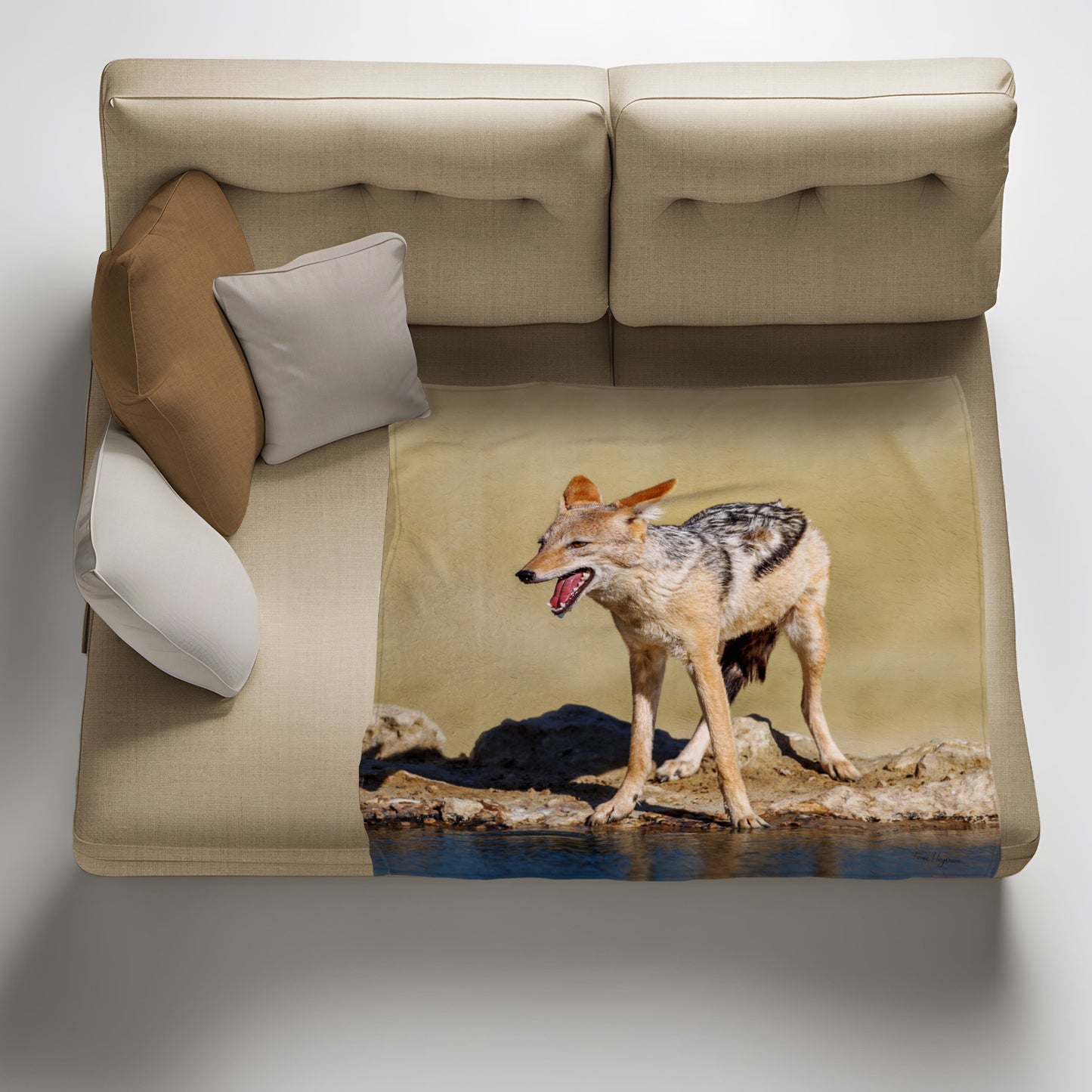 Wildlife Blacked Backed Jackal At Waterhole Light Weight Fleece Blanket by Fanie Heymans