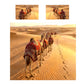 Wildlife Camel Trek Duvet Cover Set