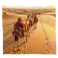 Wildlife Camel Trek Light Weight Fleece Blanket