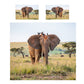 Wildlife Elephant Duvet Cover Set