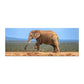 Wildlife Elephant On Hapoor Dam Desk Pad by Annette Heymans