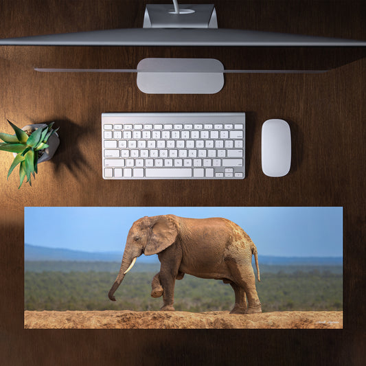 Wildlife Elephant On Hapoor Dam Desk Pad by Annette Heymans