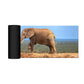 Wildlife Elephant On Hapoor Dam Desk Pad by Annette Heymans