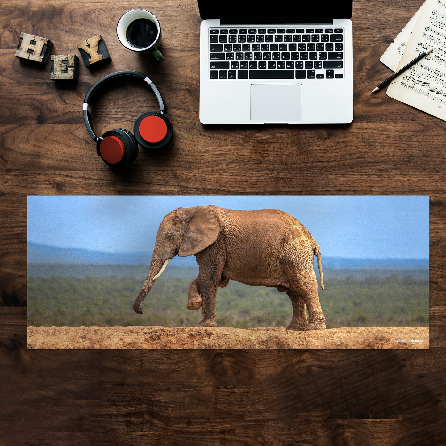Wildlife Elephant On Hapoor Dam Desk Pad by Annette Heymans