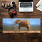 Wildlife Elephant On Hapoor Dam Desk Pad by Annette Heymans