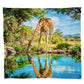 Wildlife Giraffe Oasis Light Weight Fleece Blanket