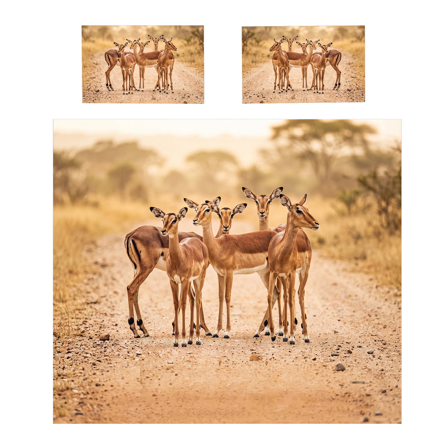 Wildlife Impalas Duvet Cover Set