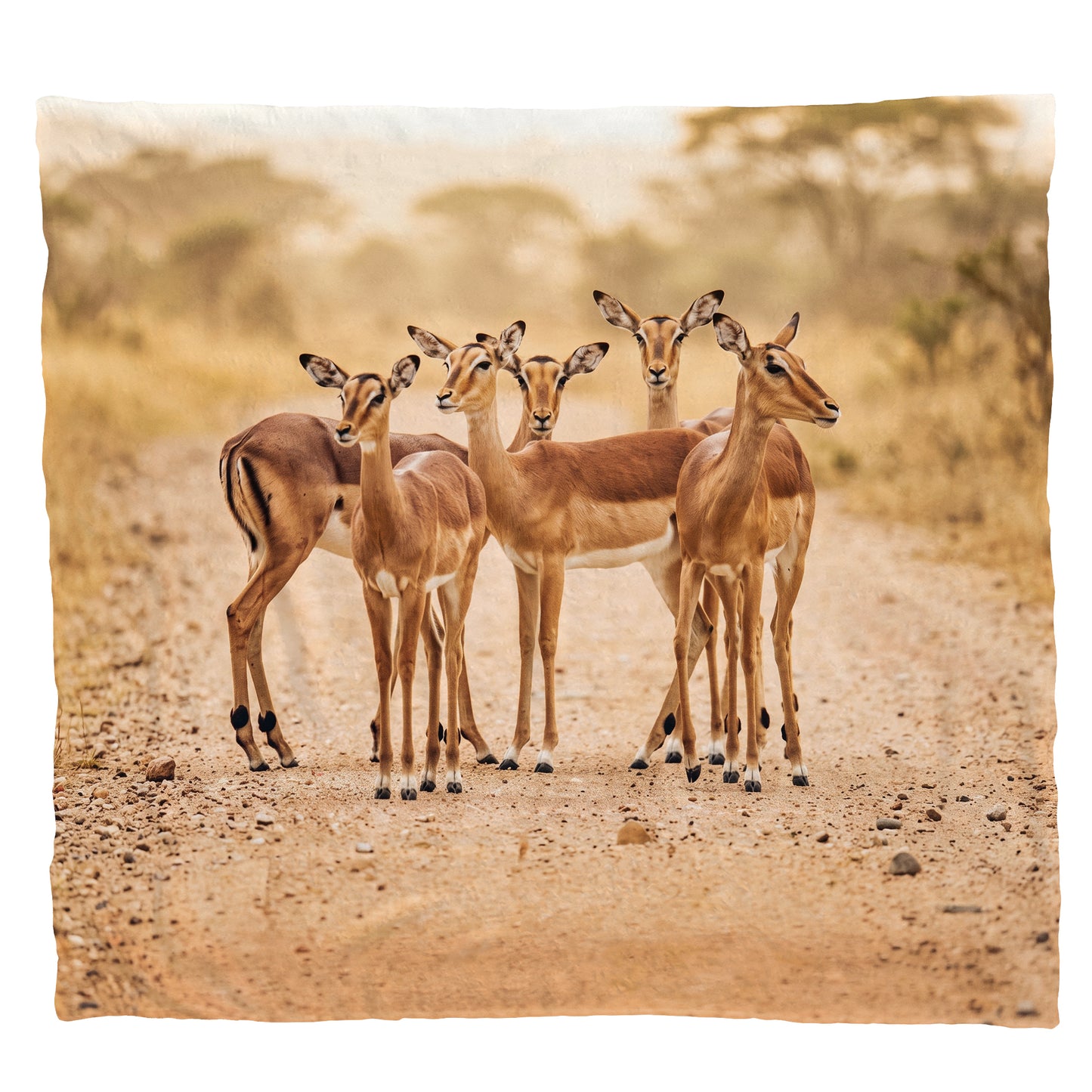 Wildlife Impalas Light Weight Fleece Blanket