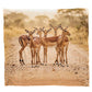 Wildlife Impalas Light Weight Fleece Blanket