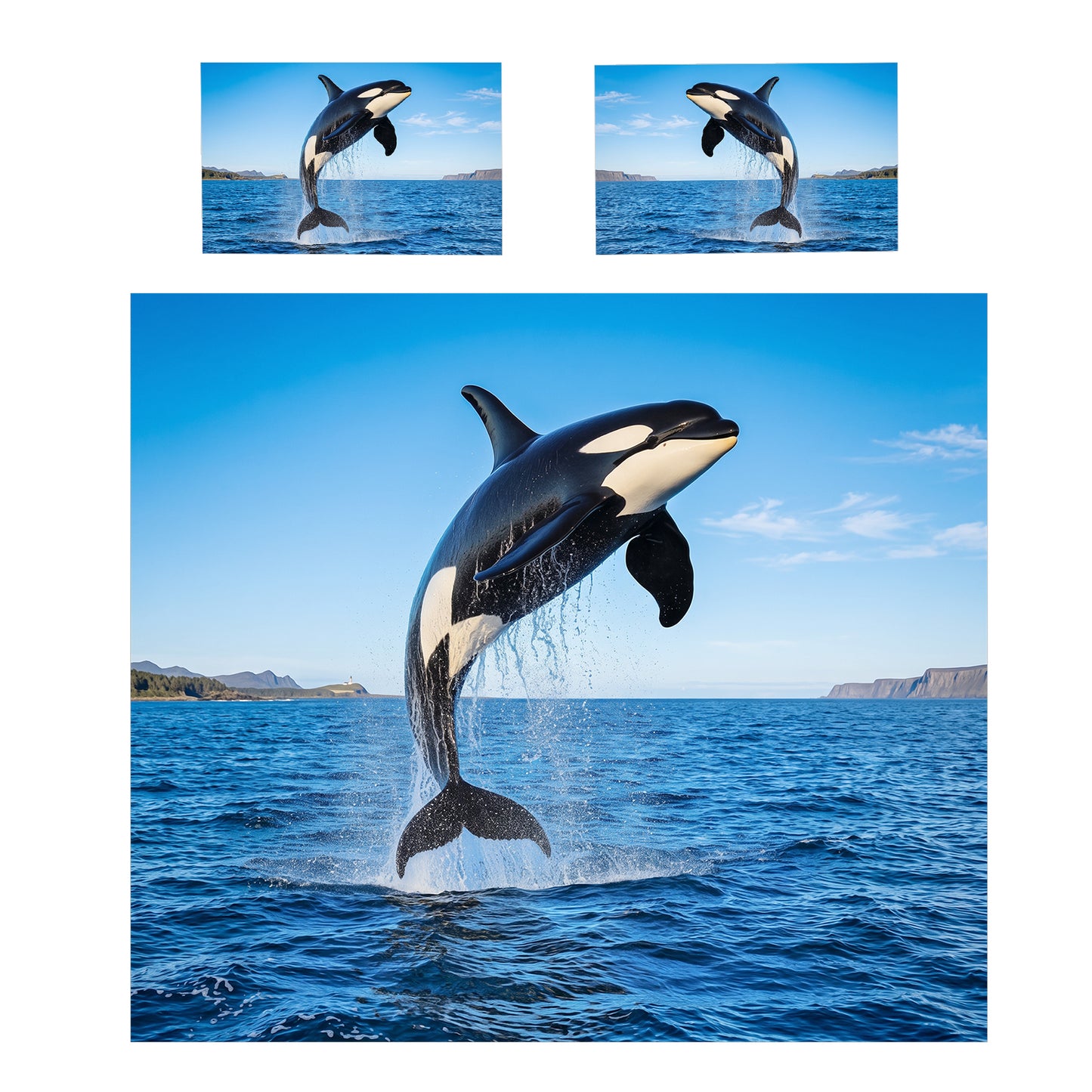 Wildlife Killer Whale Duvet Cover Set