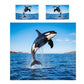 Wildlife Killer Whale Duvet Cover Set