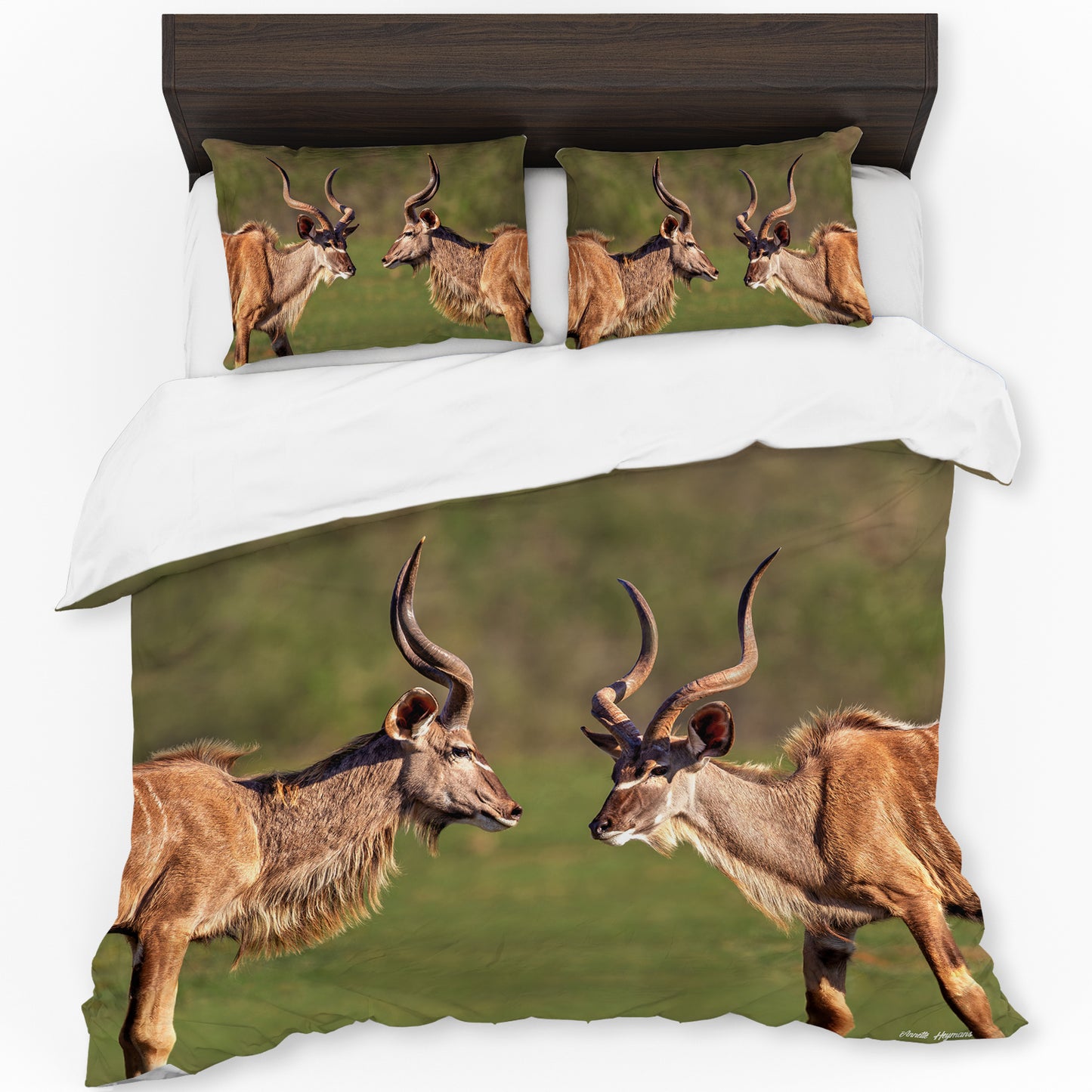 Wildlife Kudu Bulls Duvet Cover Set by Annette Heymans