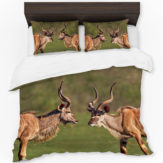 Wildlife Kudu Bulls Duvet Cover Set by Annette Heymans