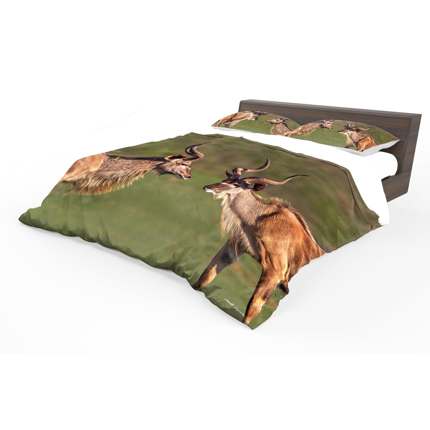 Wildlife Kudu Bulls Duvet Cover Set by Annette Heymans