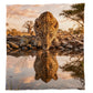 Wildlife Leopard's Reflection Light Weight Fleece Blanket