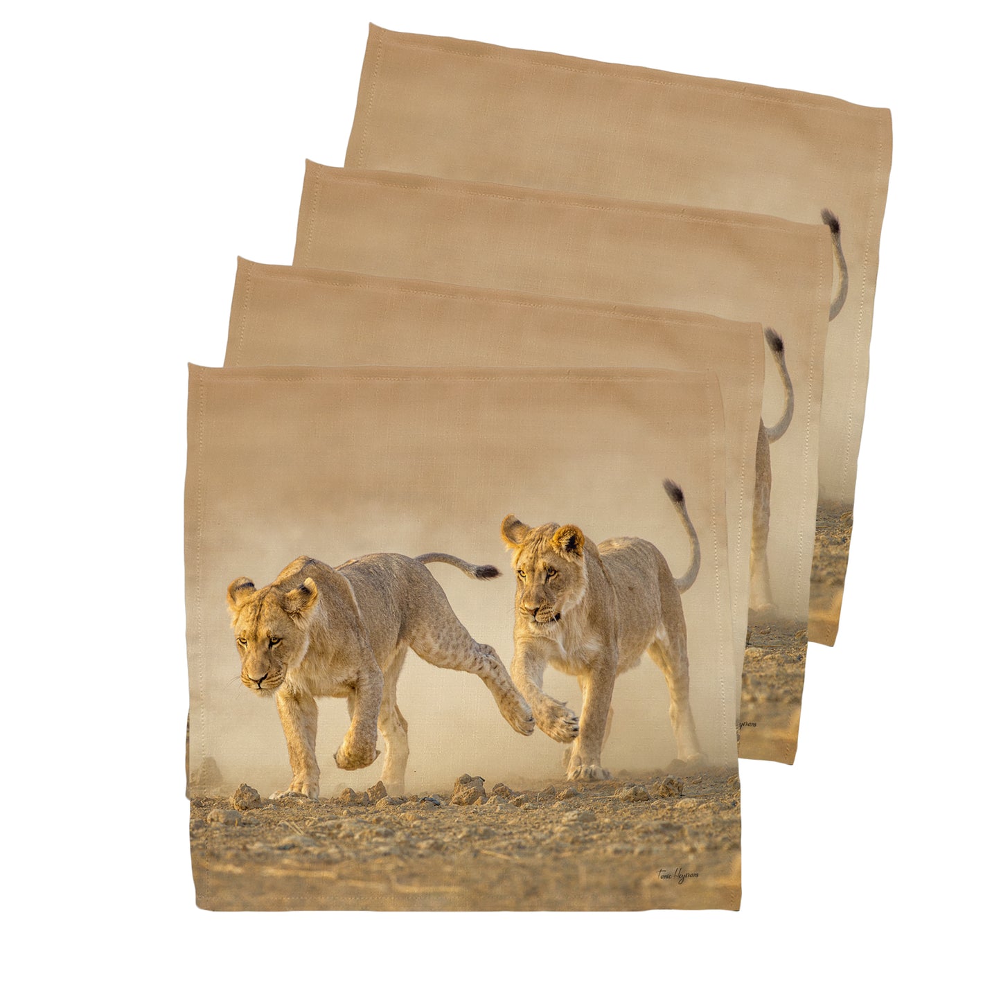 Wildlife Lion Cubs Chasing Napkins by Fanie Heymans