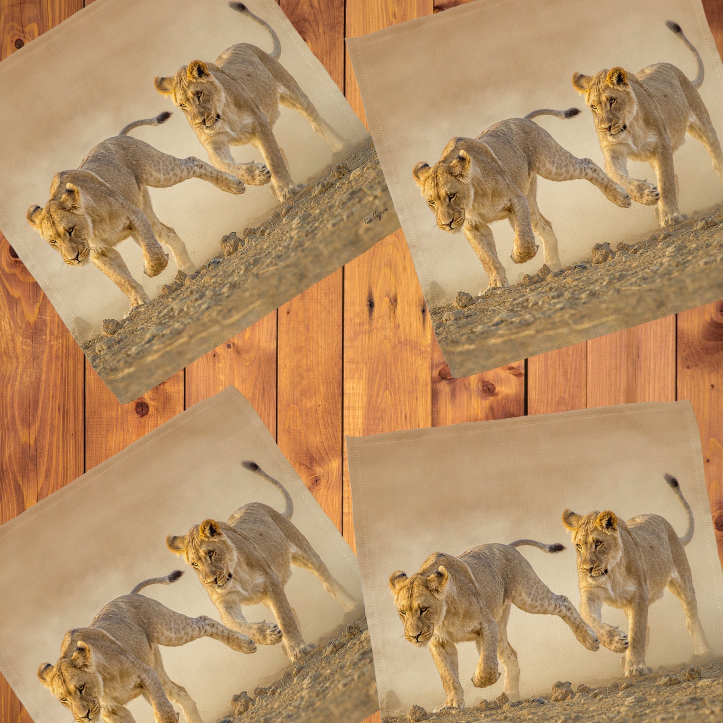 Wildlife Lion Cubs Chasing Napkins by Fanie Heymans