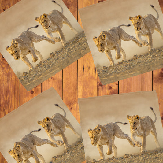 Wildlife Lion Cubs Chasing Napkins by Fanie Heymans
