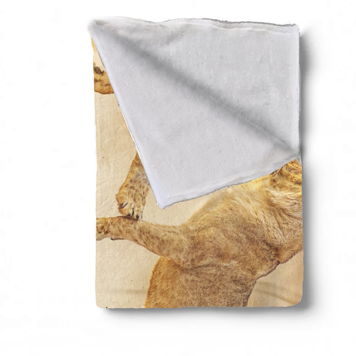 Wildlife Lion Cubs Playing Light Weight Fleece Blanket by Fanie Heymans