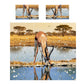 Wildlife Springbok Duvet Cover Set
