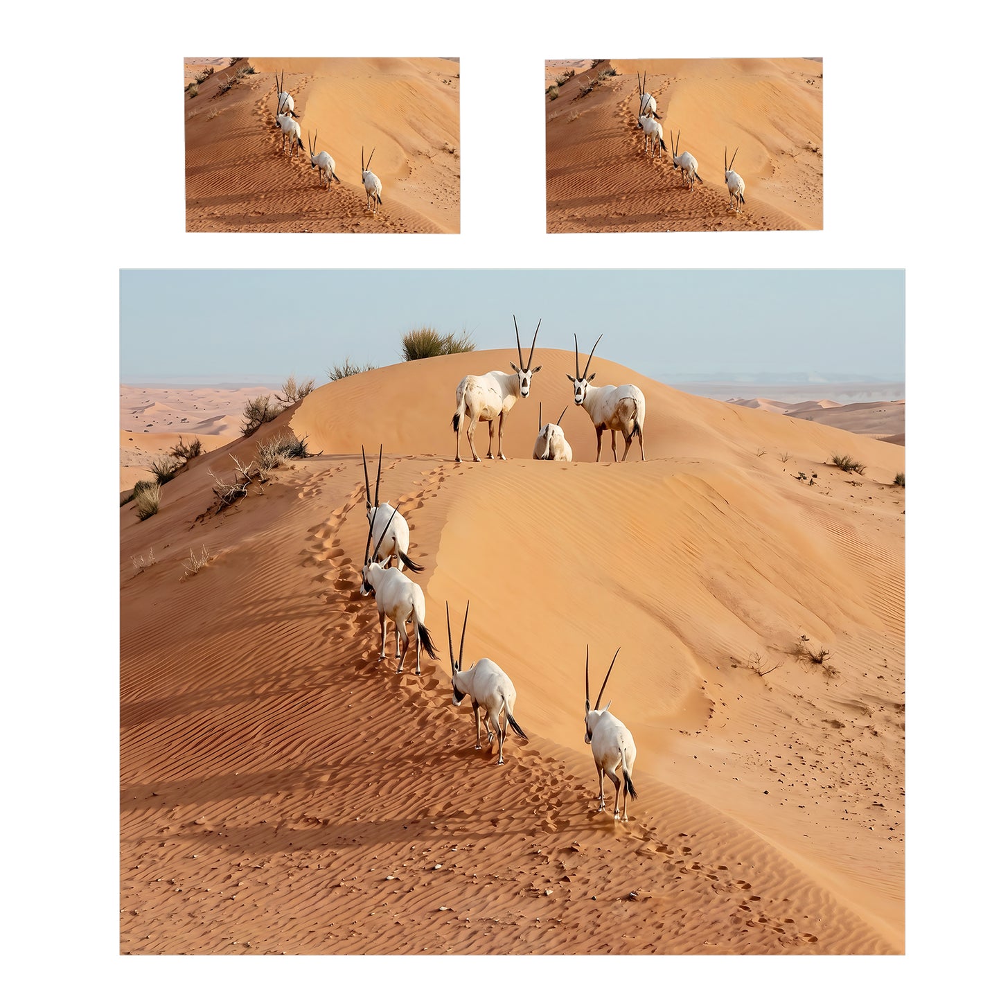 Wildlife The Great Trek Duvet Cover Set