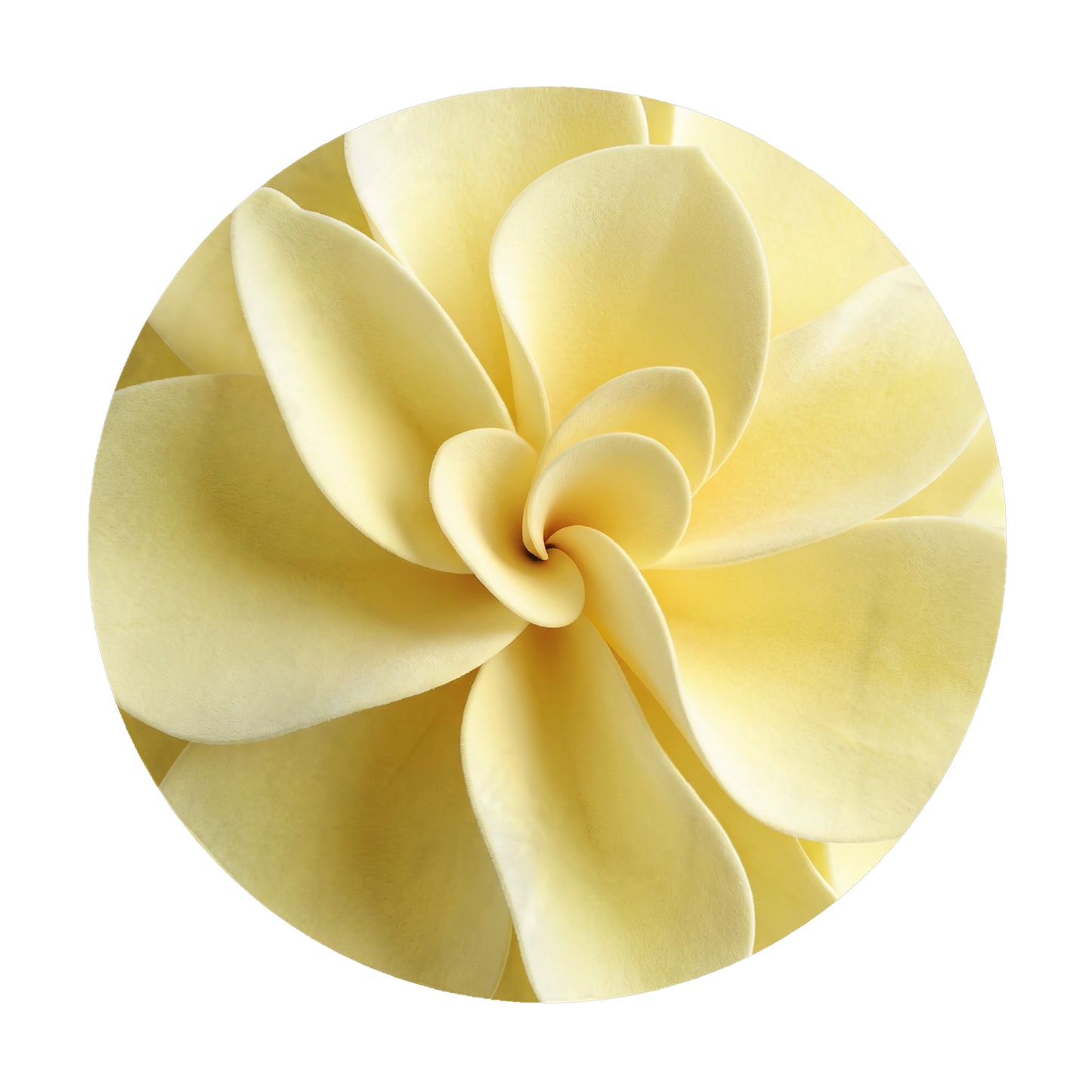 Yellow Folds 2,3m Round Tablecloth