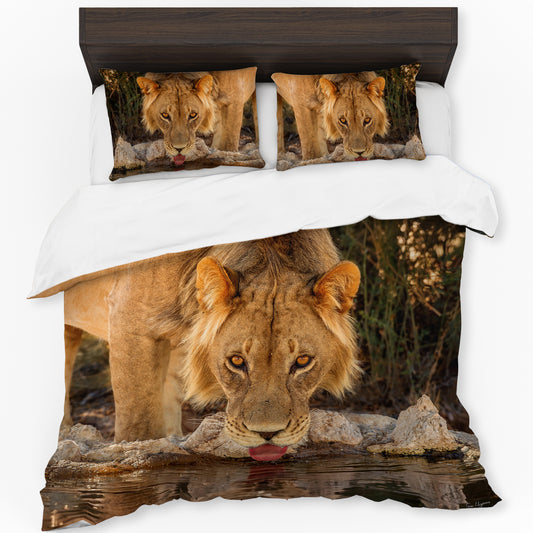 Young Male Lion Duvet Cover Set by Fanie Heymans
