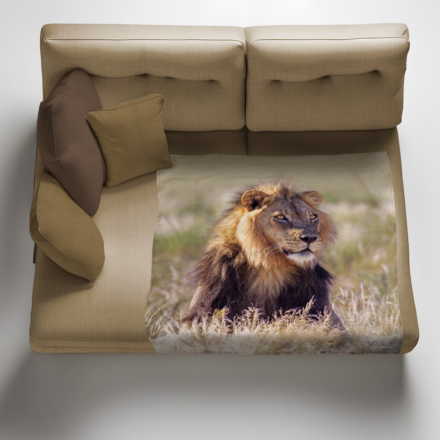Young Male Lion Light Weight Fleece Blanket by Annette Heymans