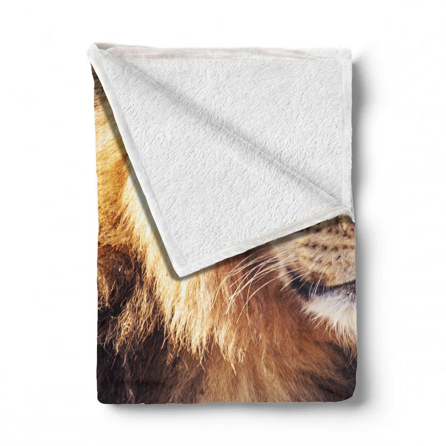 Young Male Lion Light Weight Fleece Blanket by Annette Heymans