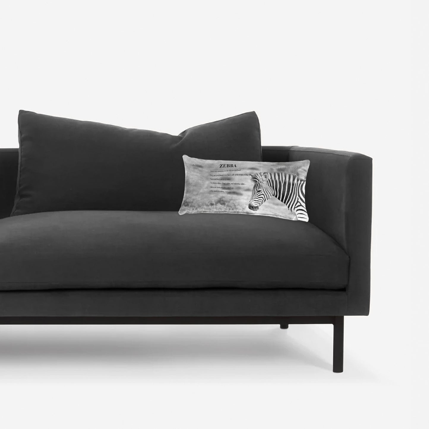 Zebra  Facts Left Oblong Luxury Scatter  by Annette Heymans