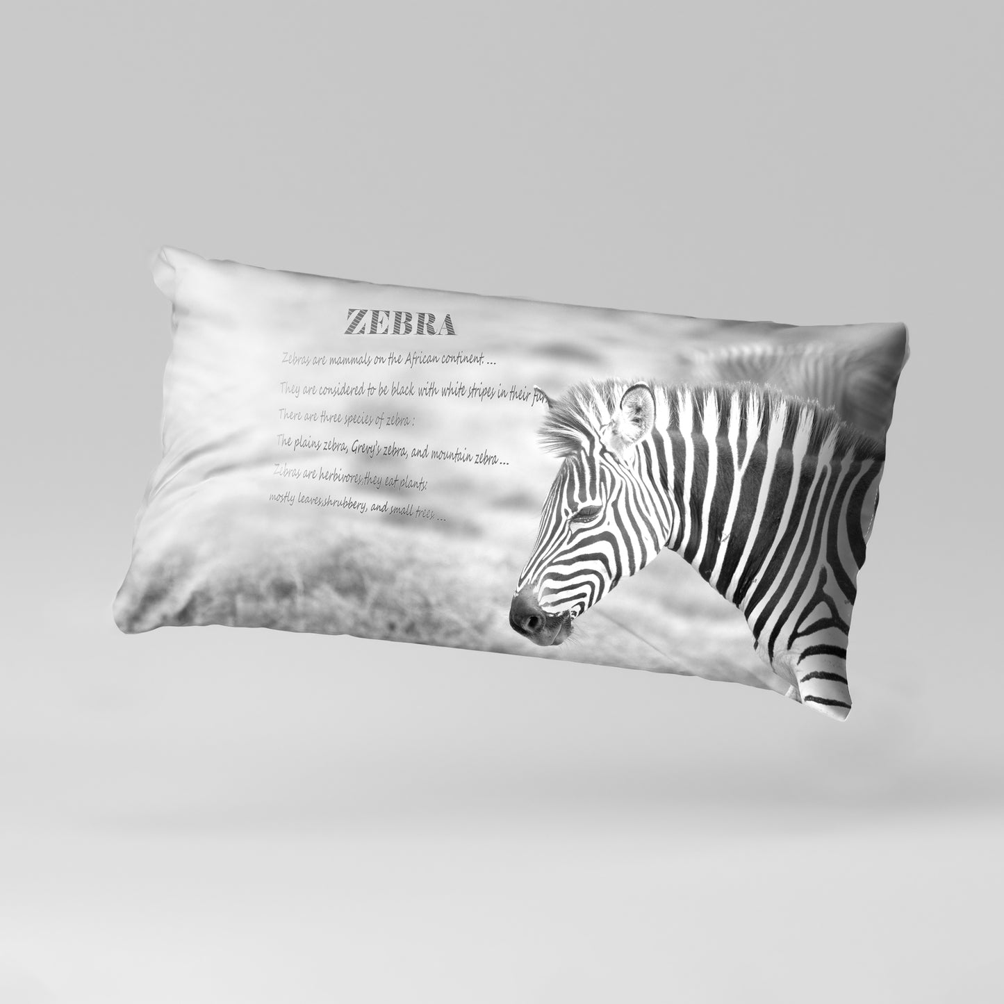 Zebra  Facts Left Oblong Luxury Scatter  by Annette Heymans