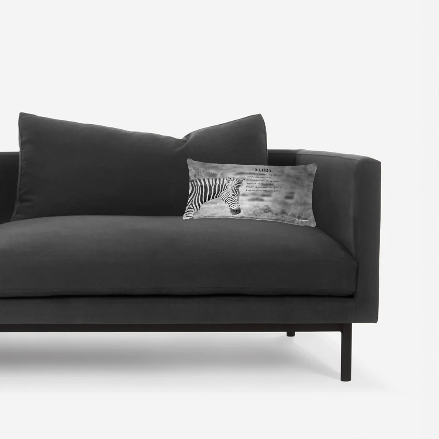 Zebra  Facts Right Oblong Luxury Scatter  by Annette Heymans