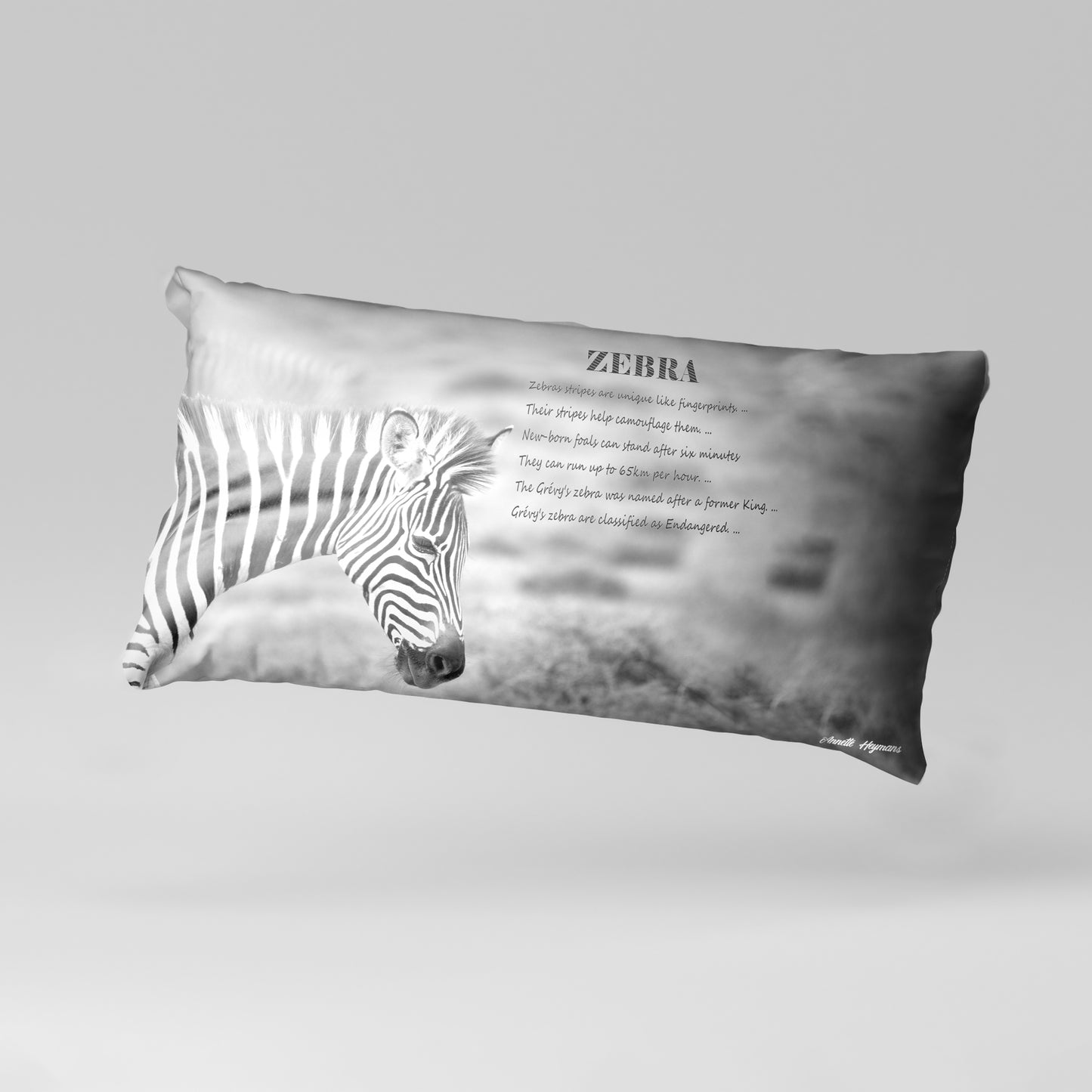 Zebra  Facts Right Oblong Luxury Scatter  by Annette Heymans