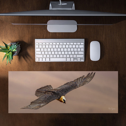 bearded vulture spread wings Large Desk Pad By Fanie Heymans