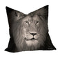 Male Lion Black & White Luxury Scatter By Fanie Heymans