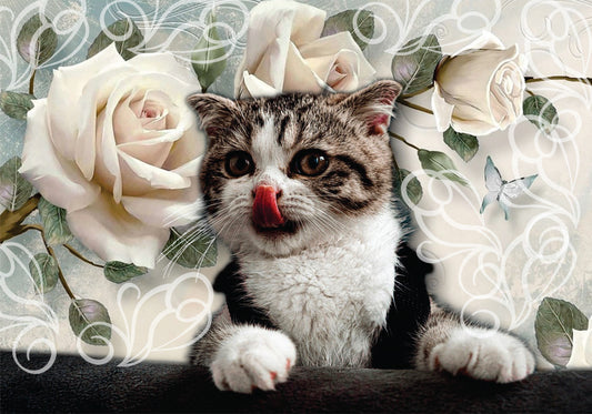 Decoupage #17