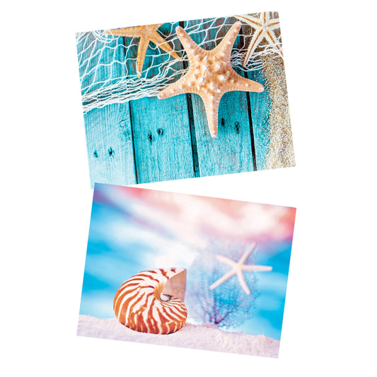 Decoupage Tear Resistant Transfers - Star Fish and Shell 60cm x 80cm