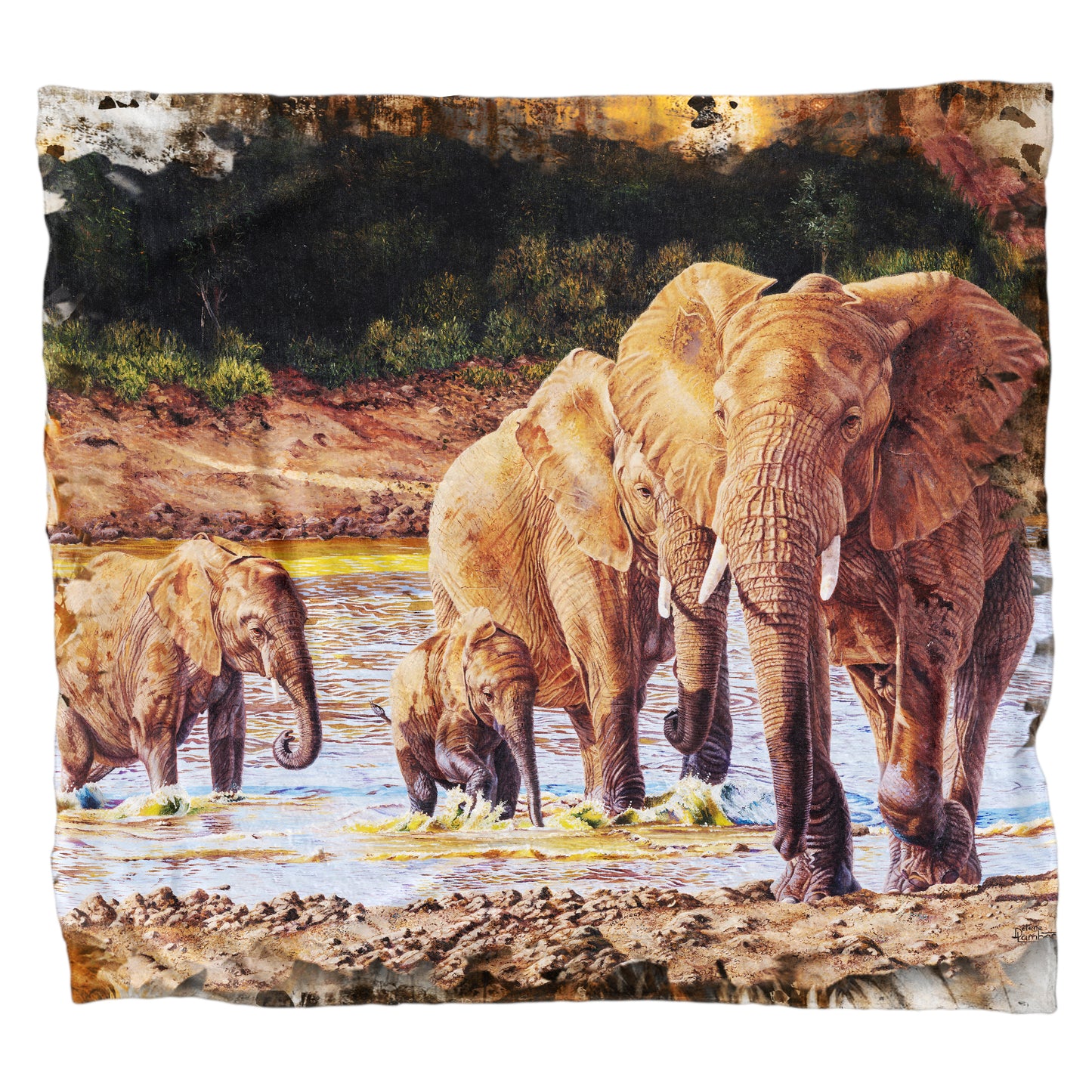 Elephants Light Weight Fleece Blanket By Delene Lambert