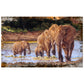Elephants Rectangle Tablecloth By Delene Lambert