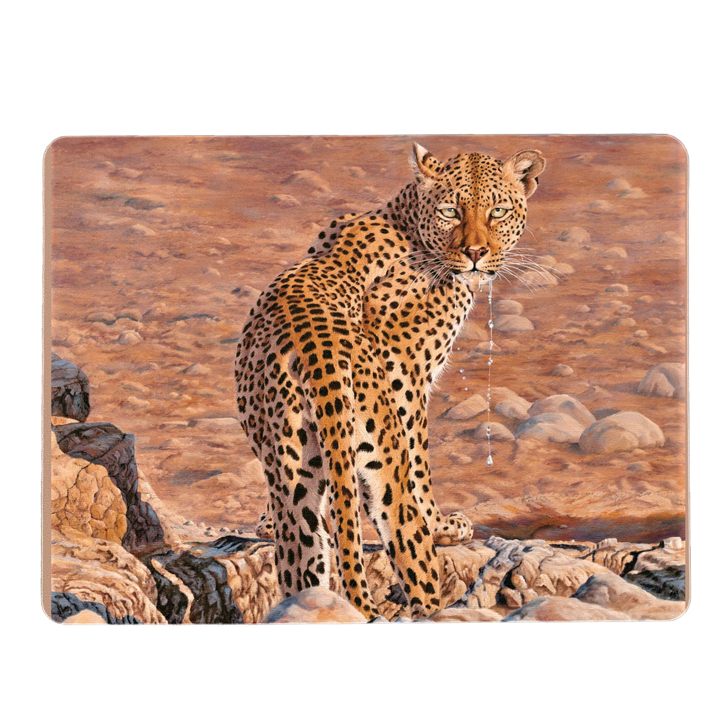 Disturbed Mouse Pad by Delene Lambert