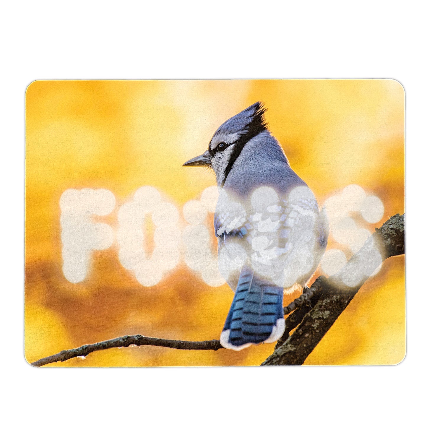 FOCUS - Blue Jay Mouse Pad