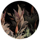 Black Background Green Leaves Round Tablecloth By Mark Van Vuuren