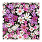 Cosmos on Black Square Tablecloth By Mark Van Vuuren