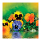Pansies Square Tablecloth
